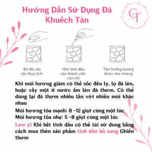 hướng dẫn sử dụng đá khuếch tan mùi In Fall